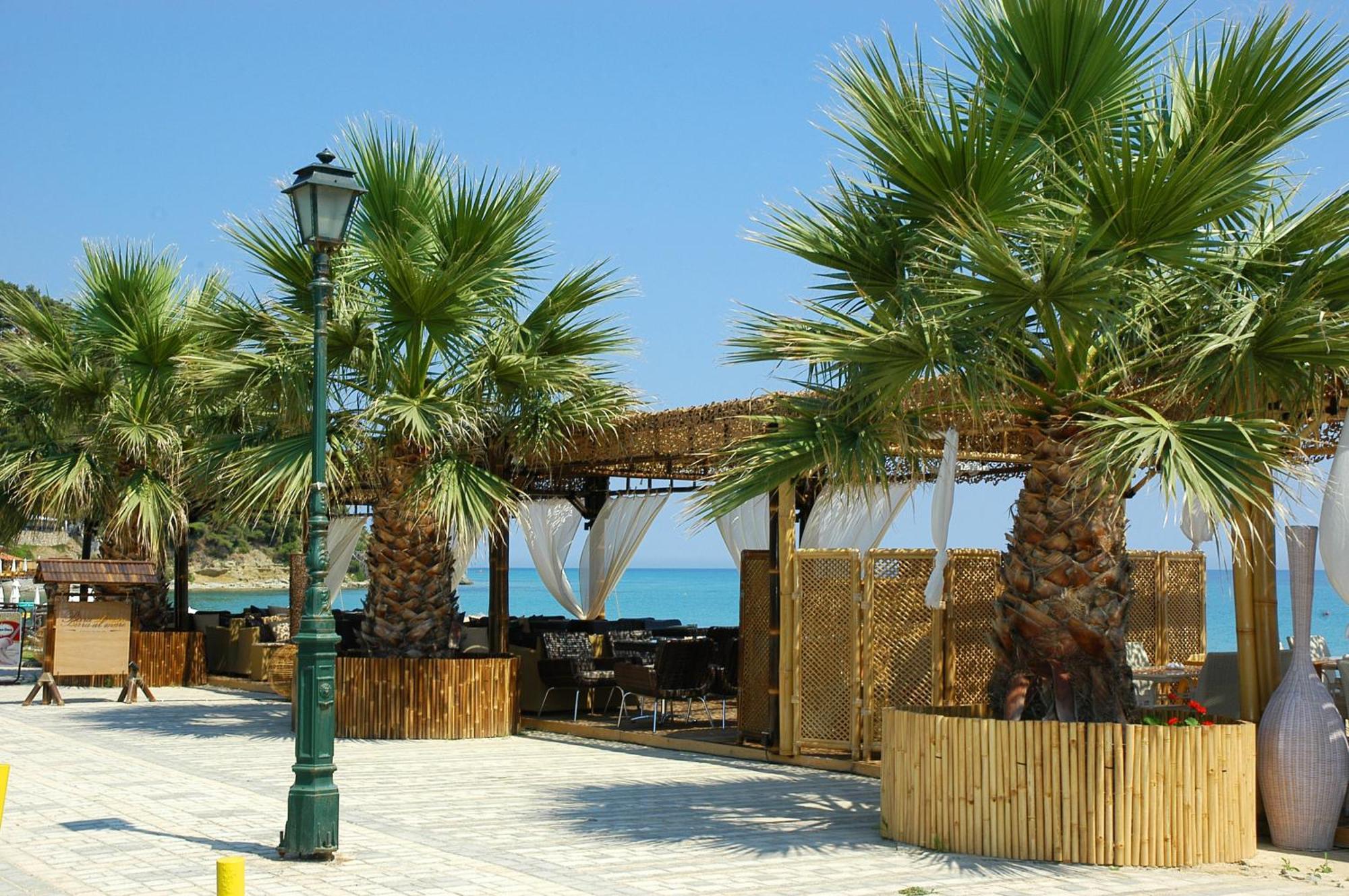 Xenios Possidi Paradise Hotel 외부 사진